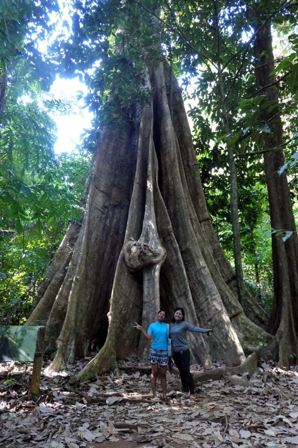 Appartamento Ban Tha Ton Do Koh Yao Noi Esterno foto
